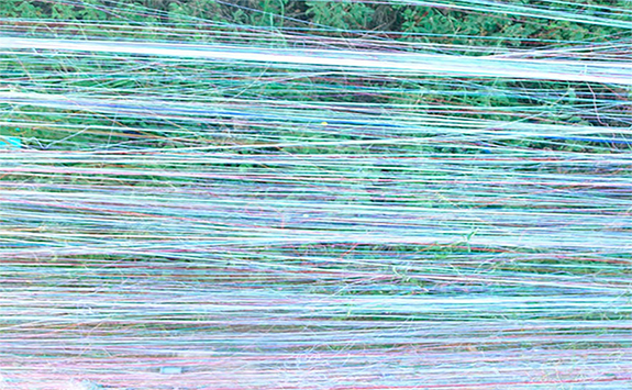 Placeholder 575x355px