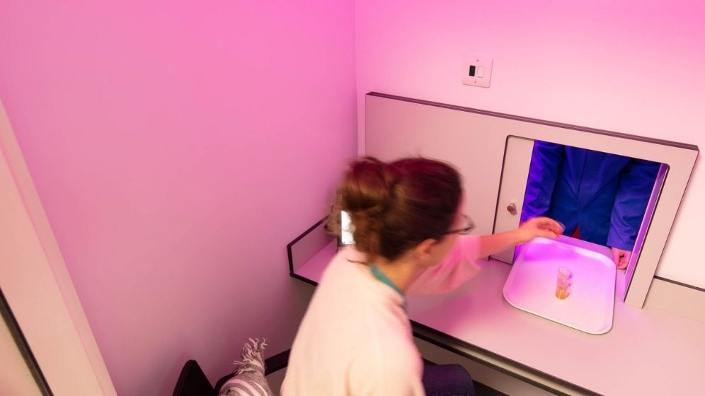 Participant completing a sensory evaluation in an individual testing booth, assessing a food sample under controlled lighting conditions within a sensory analysis laboratory.