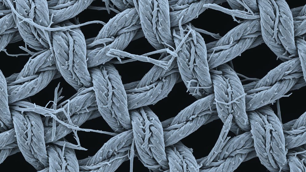 A scanning electron microscope image of cloth. The detail is stunning. Not only can the threads that make up the woven cloth be seen, but the individual fibres that come loose from the threads are also visible.