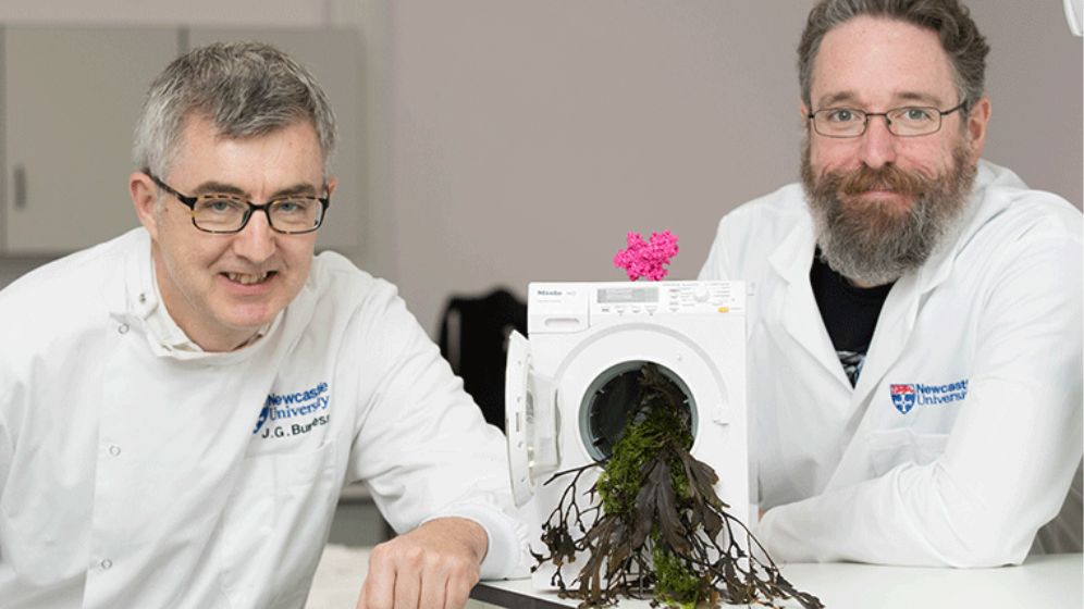 Two white men in Newcastle University laboratory coats are looking straight at the camera. In front of them is a small model washing machine. Its door is open and seaweed is tumbling out. On top of the washing machine model is a 3D printed model of the NucB enzyme.