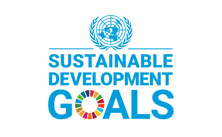 UN Sustainable Development Goals logo