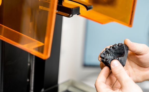 A researcher examining a model of a human jaw.