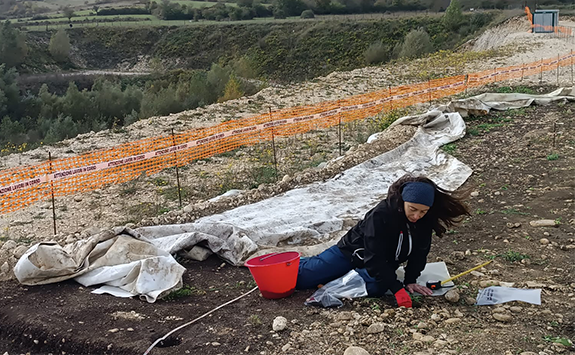 Colleague working on an excavation site