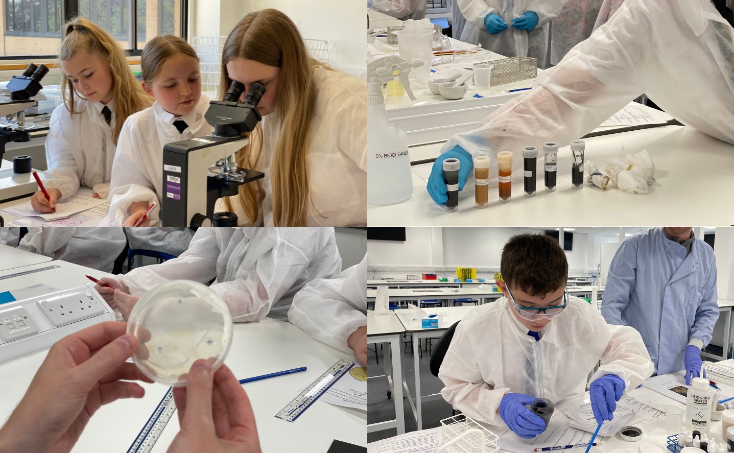 A collage of images of students in a lab