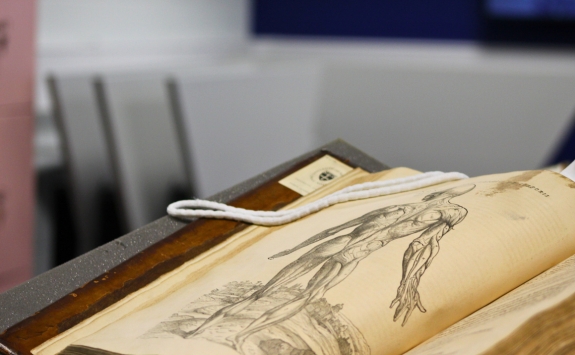 Open page of a book displaying an anatomical drawing