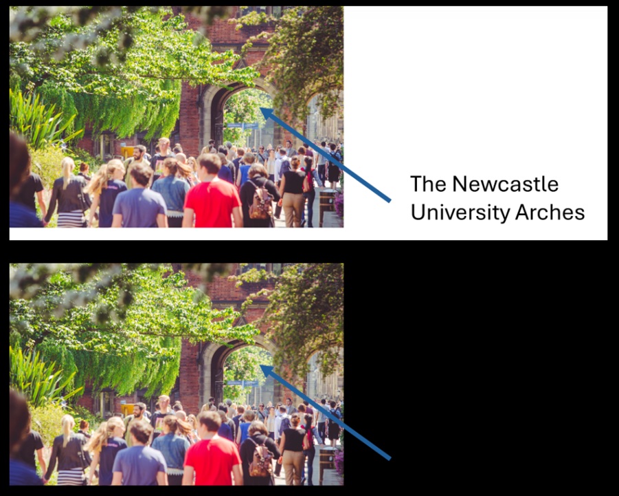 An image showing that when inversion is applied to a PNG image in Inspera, the text box can no longer be viewed.