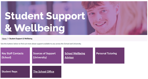 Screenshot of Student Wellbeing and Support page