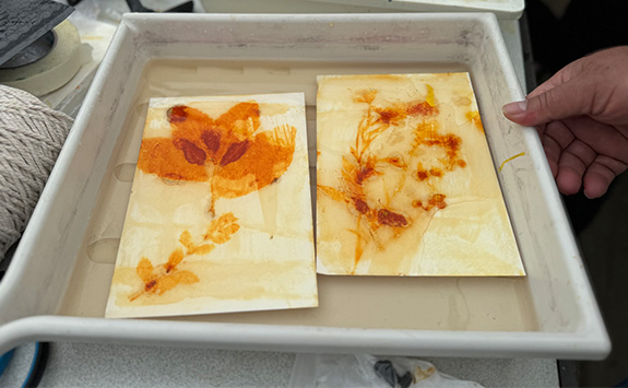 Artists creating artwork from flowers