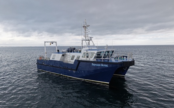 Blue and white boat on the sea with a grey sky