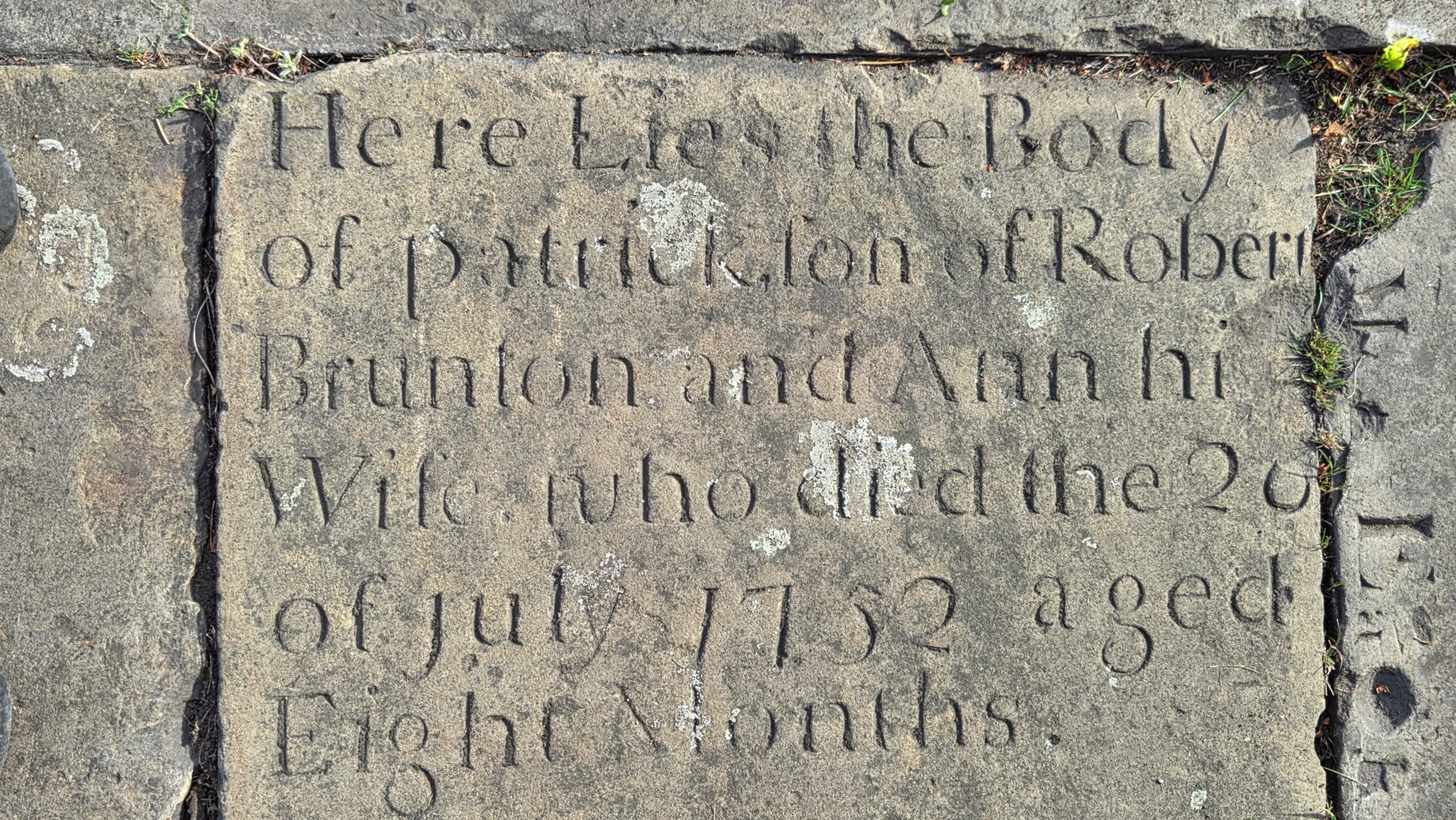 Image of Stone