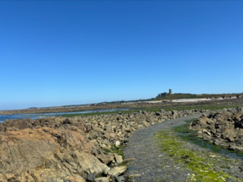 Path along the coast in the North East