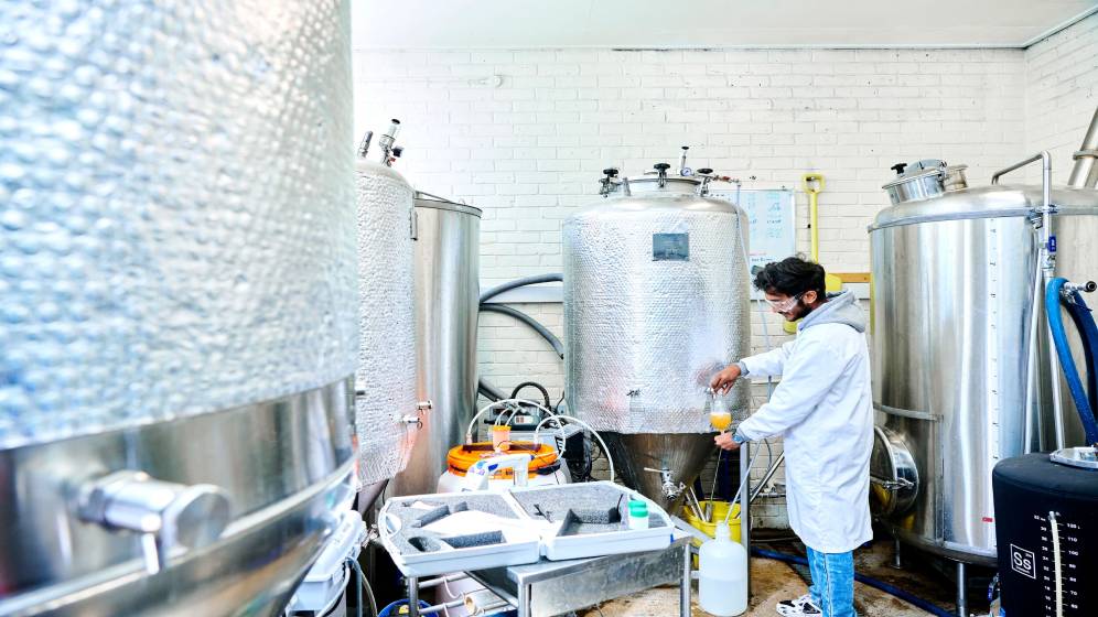 A student pouring a glass of beer in the StuBrew facility.